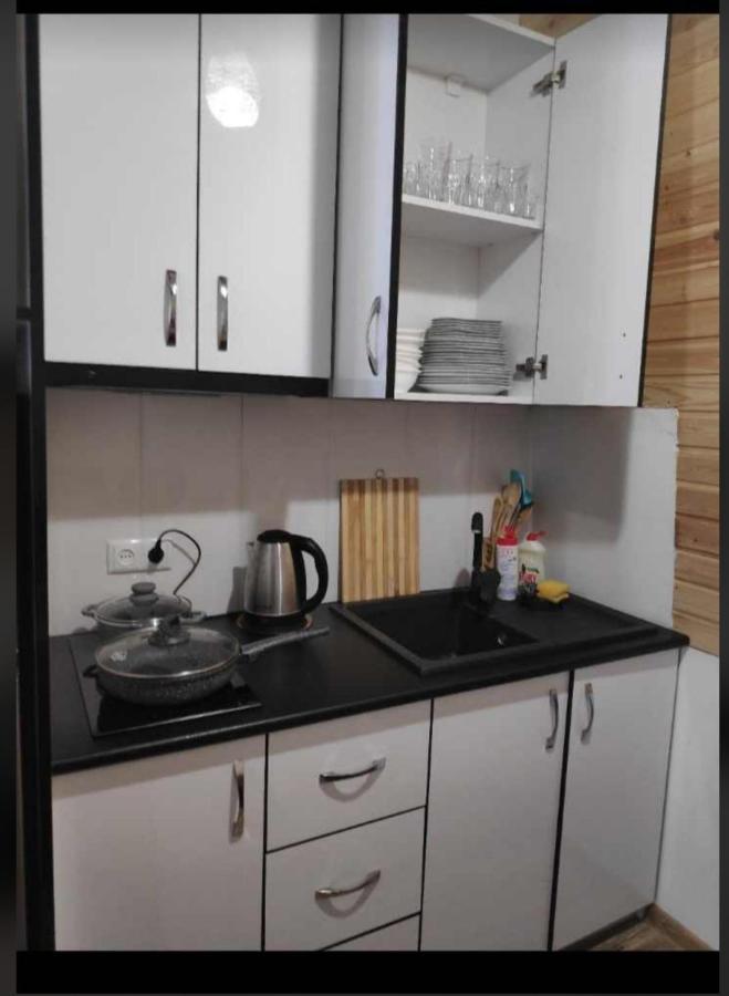 Mountain Dream House Apartment Gudauri Luaran gambar